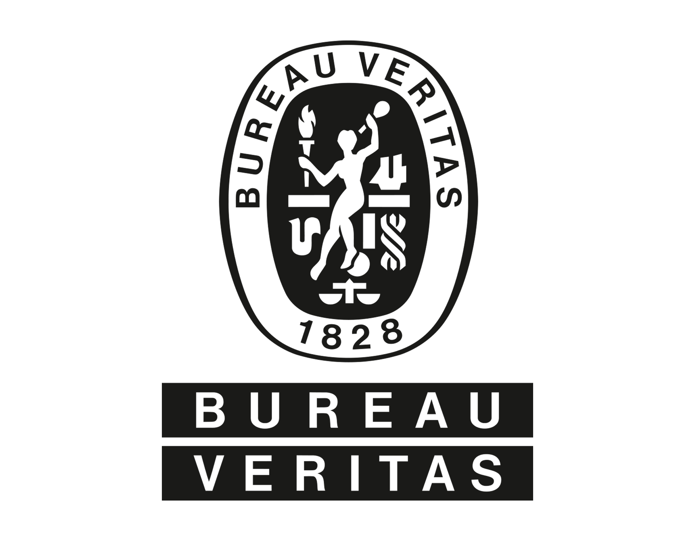 Bureau Veritas HSE